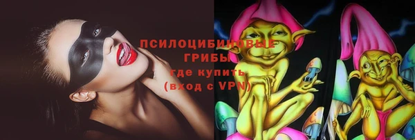 амф Абинск