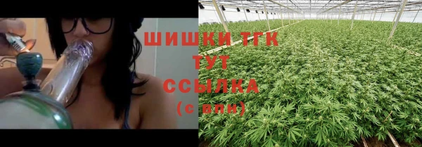 амф Абинск