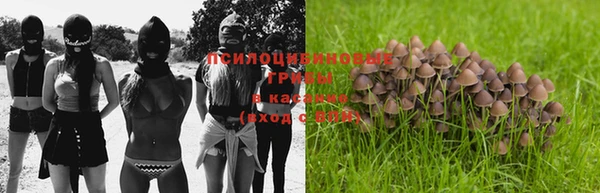 амф Абинск
